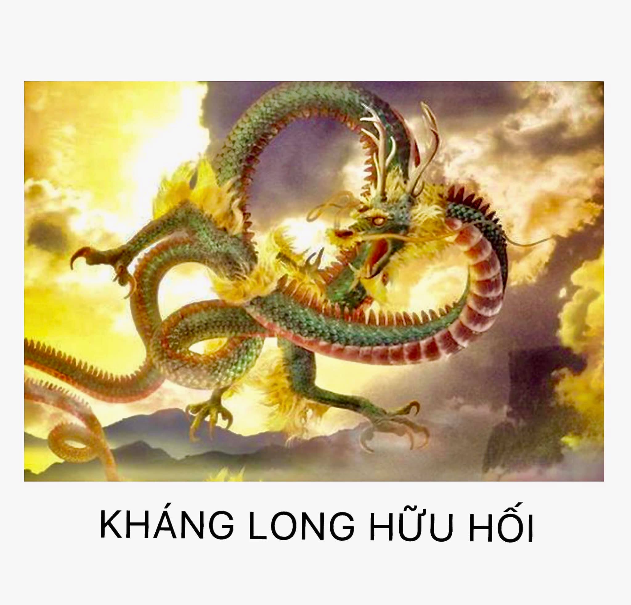 Kháng Long Hữu Hối